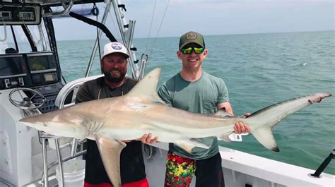 shark fishing florida|Cocoa Beach Shark Fishing Charters .